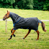 Amigo® 900D Ripstop Plus 0G Lite Turnout Blanket + FREE Custom Name Tag!