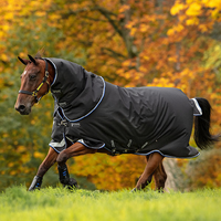 Amigo® 1200D Plus 250G Medium Turnout Blanket + FREE Custom Name Tag!