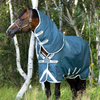 Amigo® AmECO 12 Plus Turnout Blanket - 100G + FREE Custom Name Tag!