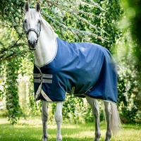 Amigo® Bravo 12 Original 100G Lite Turnout Blanket + FREE Custom Name Tag!