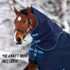 Amigo® Bravo 12 Original Turnout Hood - 0G