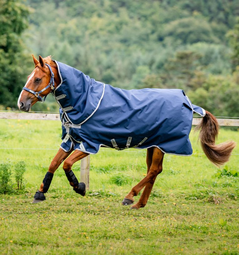 Amigo® 1200D Plus 0G Lite Turnout Blanket + FREE Custom Name Tag!