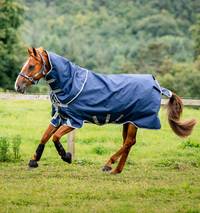Amigo® 1200D Plus 0G Lite Turnout Blanket + FREE Custom Name Tag!