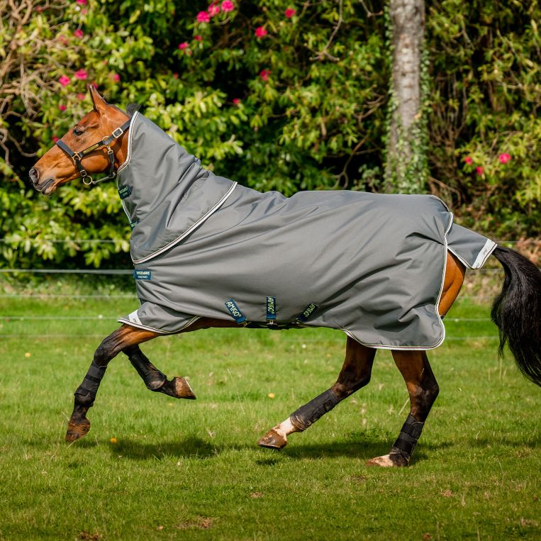 Amigo® 1200D Plus 250G Medium Turnout Blanket + FREE Custom Name Tag!