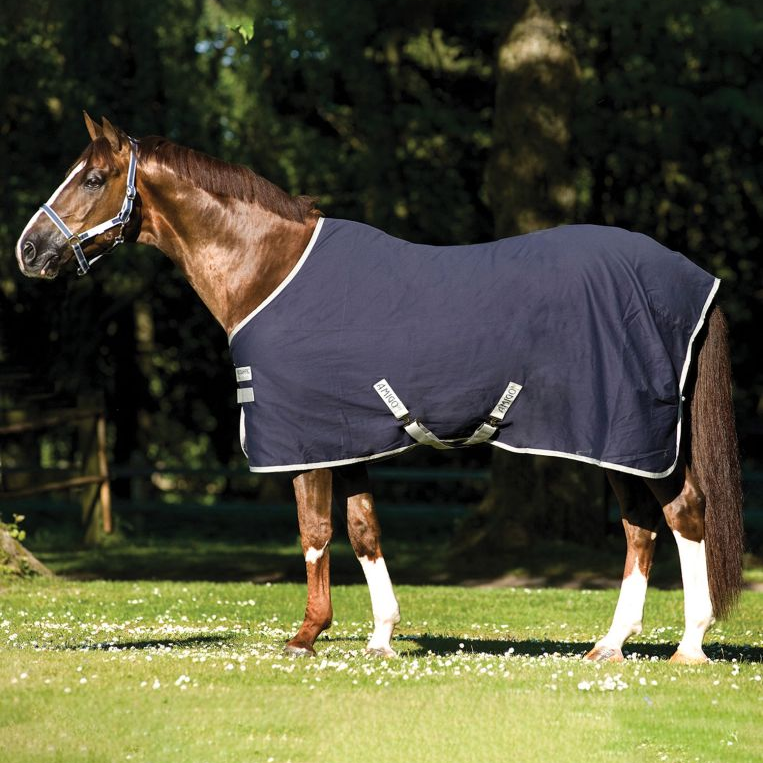 Amigo® Cotton Stable Sheet + FREE Custom Name Tag!