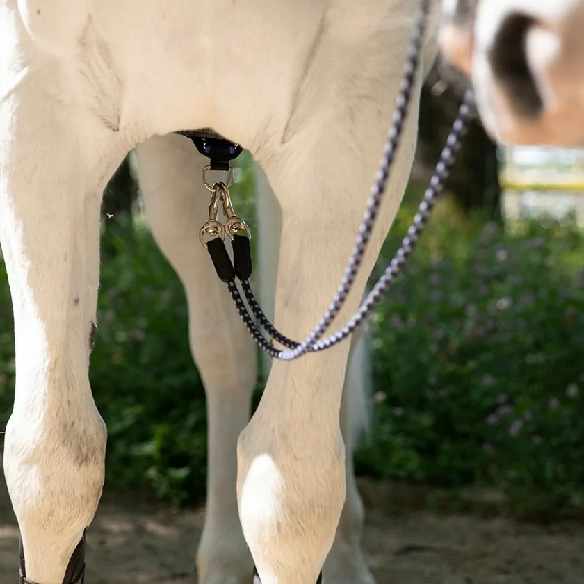 Antarès® Precision Draw Reins + FREE Custom Name Tag!