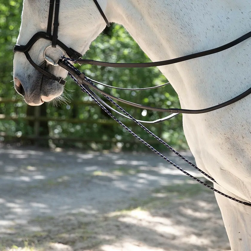 Antarès® Precision Draw Reins + FREE Custom Name Tag!