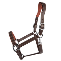 Antarès® Signature Leather Halter + FREE Custom Name Tag!