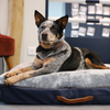 Antarès® Dog Bed