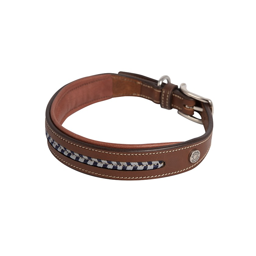 Antarès® Leather Dog Collar + FREE Custom Name Tag!