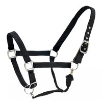 Centaur Cushion Web Breakaway Halter