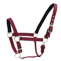 Centaur Cushion Web Breakaway Halter