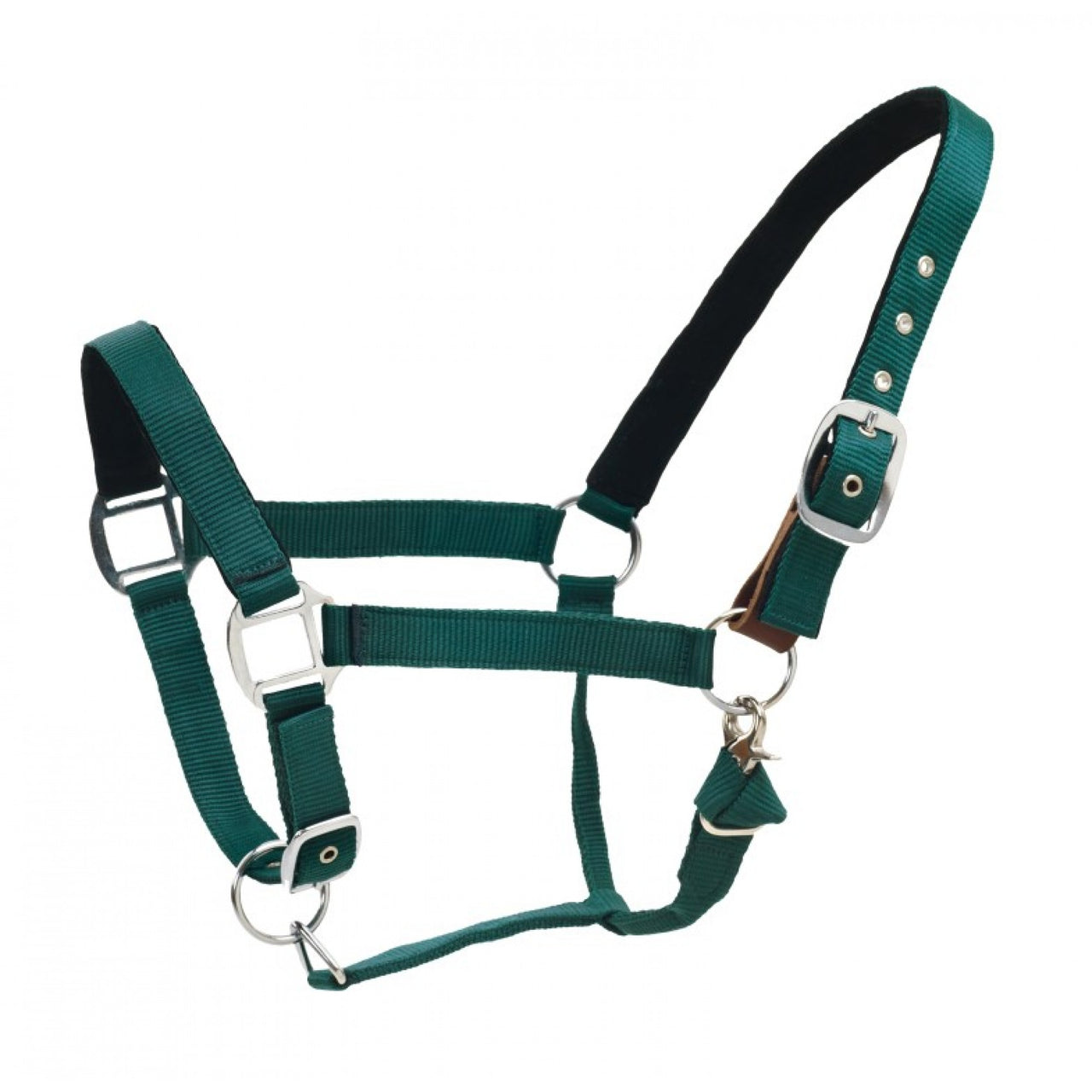 Centaur Cushion Web Breakaway Halter