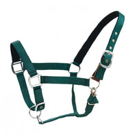 Centaur Cushion Web Breakaway Halter