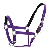 Centaur Cushion Web Breakaway Halter