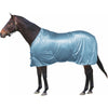 Century Athletic Stable Sheet