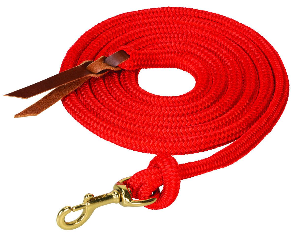 Lead Rope with Replaceable Snap