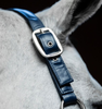 Horseware® Grooming Headcollar