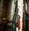 Horseware® Newmarket Halter & Leadrope Set