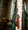 Horseware® Newmarket Halter & Leadrope Set