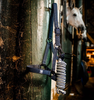 Horseware® Newmarket Halter & Leadrope Set