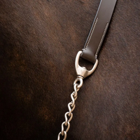 Horseware® Signature Leather Lead with Chain