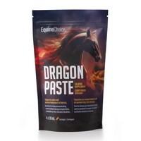 Equine Choice® Dragon Paste - 4 x 30 ML Syringes