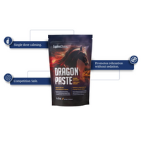Equine Choice® Dragon Paste - 4 x 30 ML Syringes