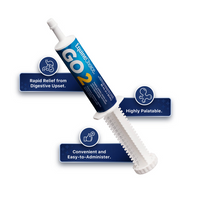 Equine Choice® GO2 Paste – 80 ML Syringe