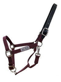 Nylon Halter w/Breakaway Leather Crown