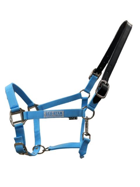 Nylon Halter w/Breakaway Leather Crown