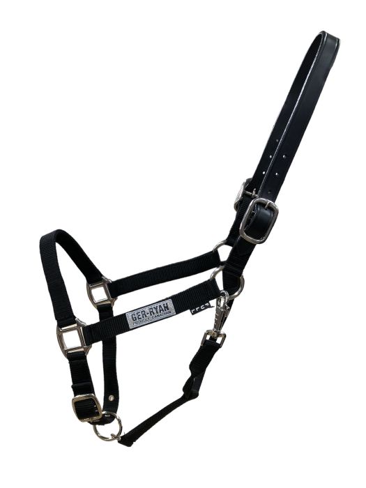 Nylon Halter w/Breakaway Leather Crown