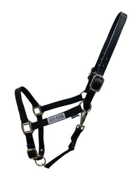 Nylon Halter w/Breakaway Leather Crown