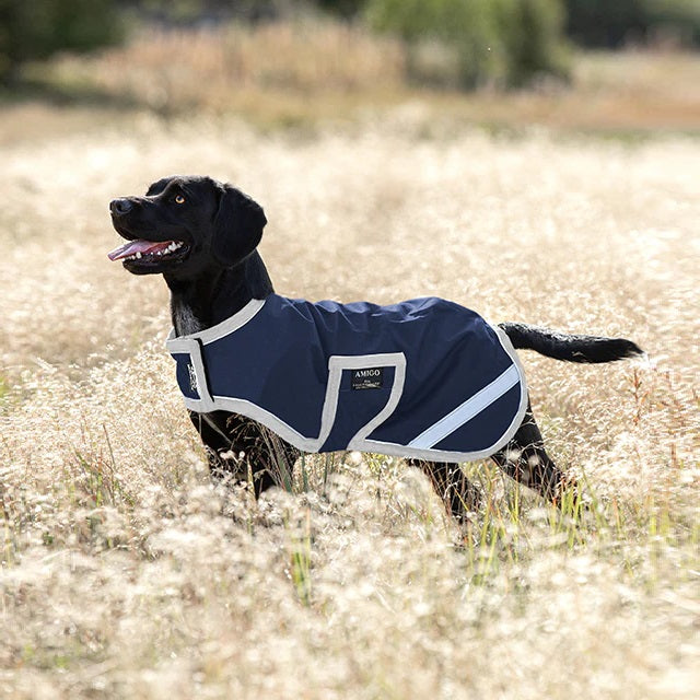 Amigo® Ripstop Dog Rug