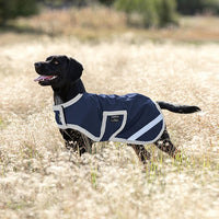 Amigo® Ripstop Dog Rug
