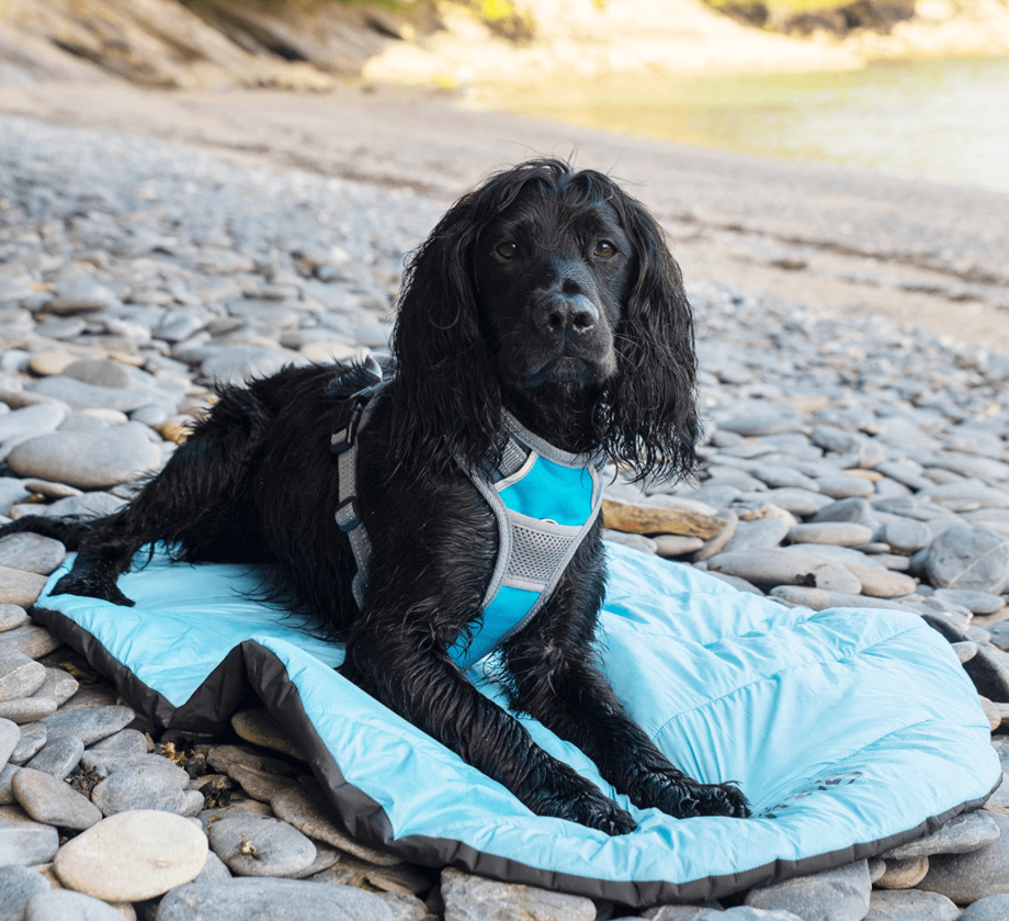Henry Wag® Alpine Travel Snuggle Bed
