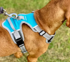 Henry Wag® Travel Harness
