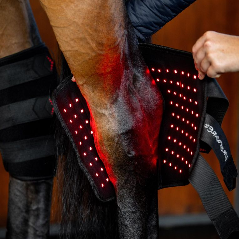 Horseware® LED Red Light Therapy Hock Boot