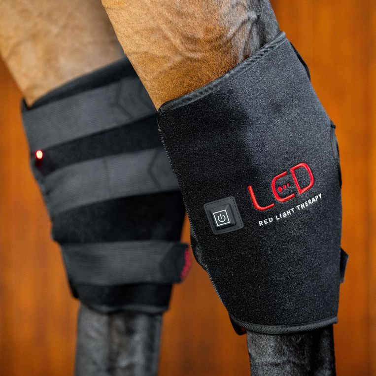 Horseware® LED Red Light Therapy Hock Boot