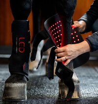 Horseware® LED Red Light Therapy Leg Wrap