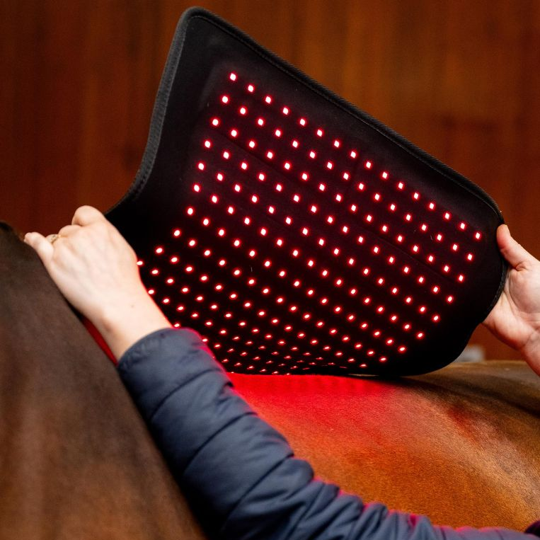Horseware® LED Red Light Therapy Pad