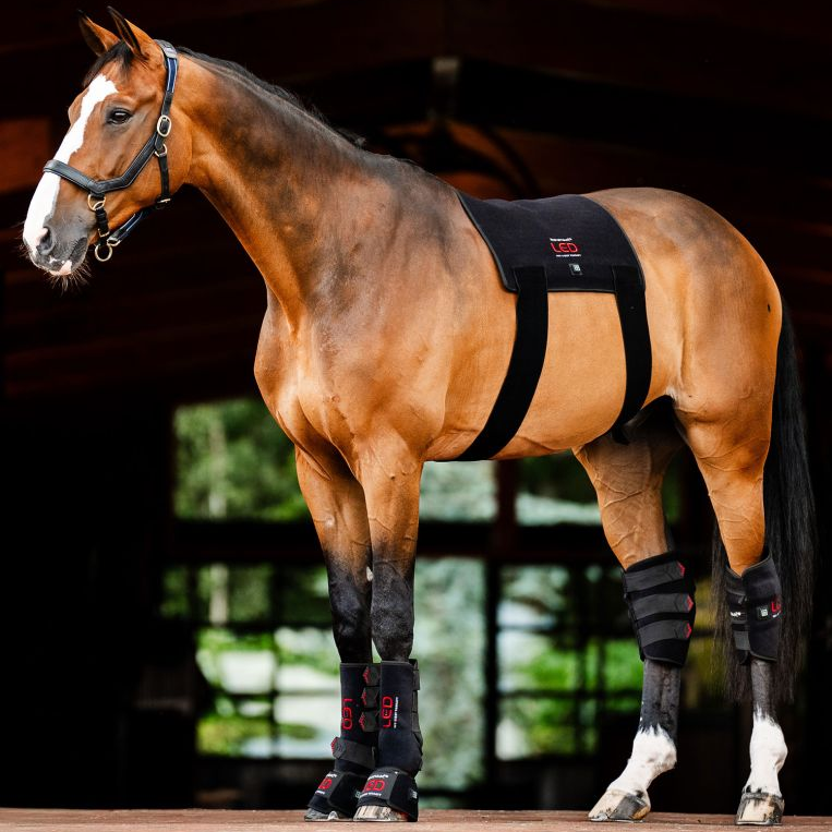Horseware® LED Red Light Therapy Pad