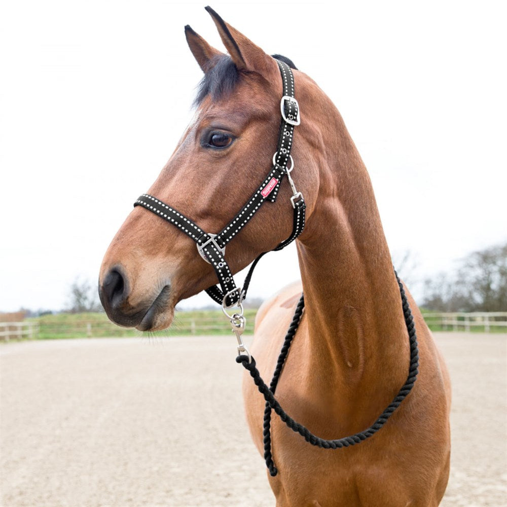 Horze Cooper Halter with Lead Rope Clearance