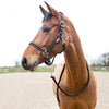 Horze Cooper Halter with Lead Rope Clearance