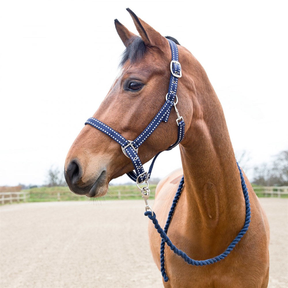Horze Cooper Halter with Lead Rope Clearance