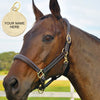 Bromont Padded Leather Halter + FREE Custom Name Tag