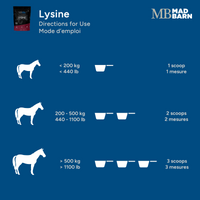 Mad Barn® L-Lysine - 1 KG