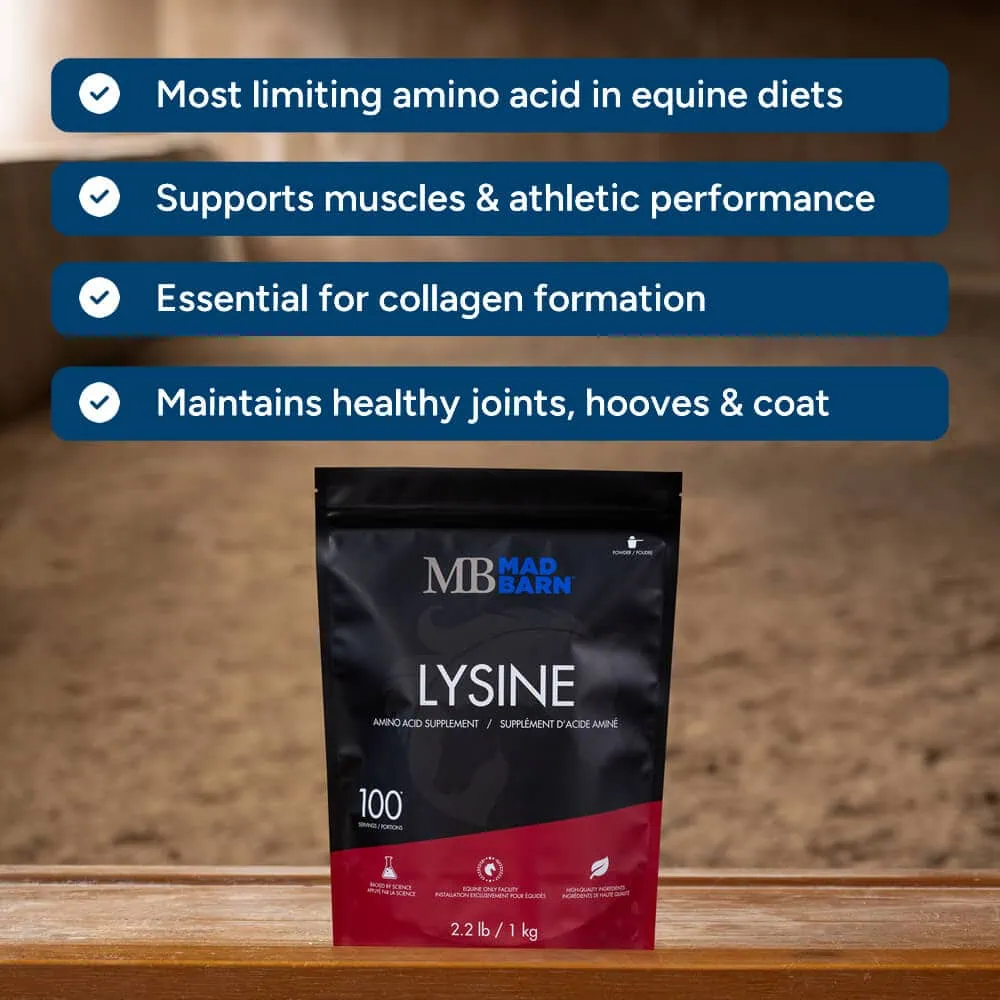 Mad Barn® L-Lysine - 1 KG