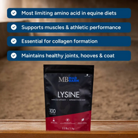 Mad Barn® L-Lysine - 1 KG