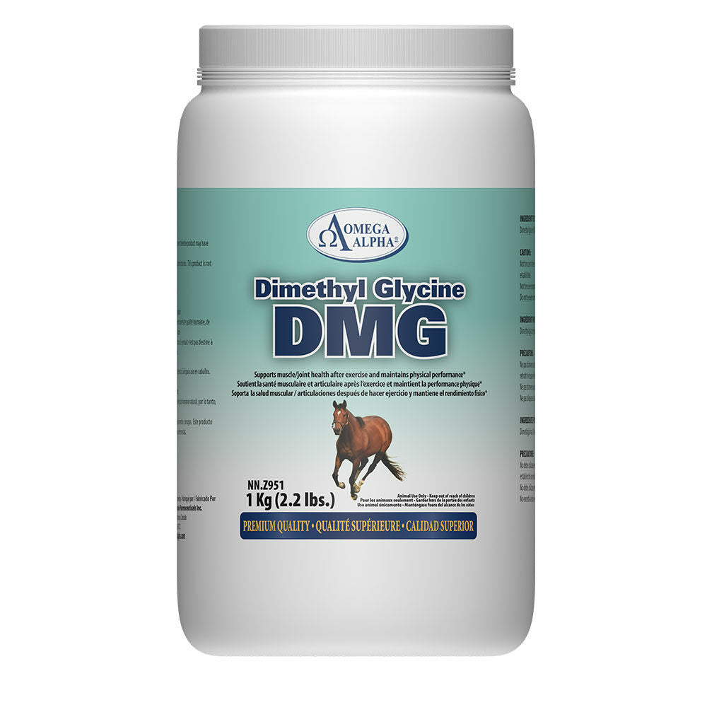 Omega Alpha® Dimethyl Glycine (DMG)
